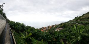 Another panorama along Levada Dos Piornais